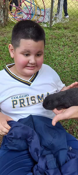 Bicho Mania 2022